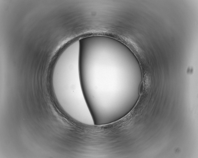 X0000094350684200711021314