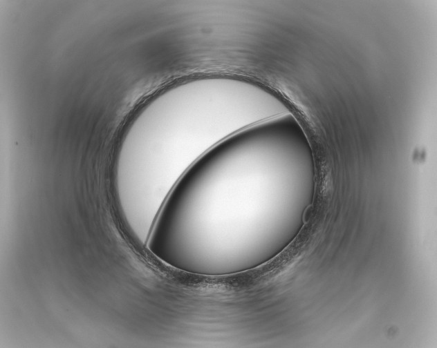 X0000094350685200711021314