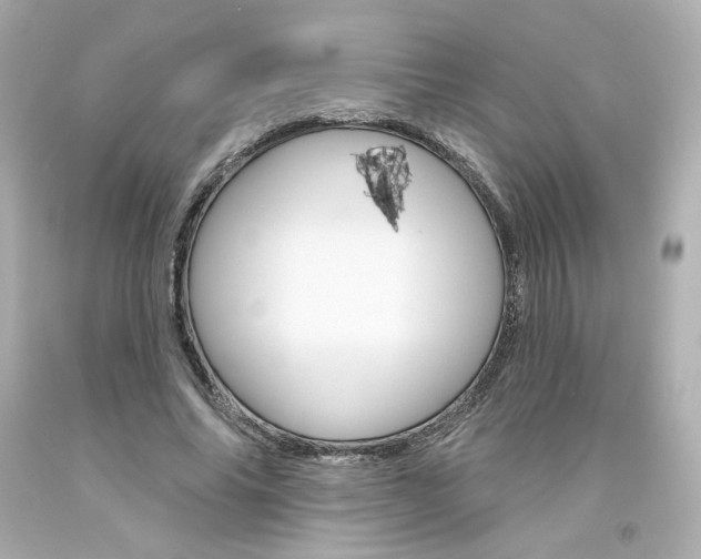 X0000094350686200711021314