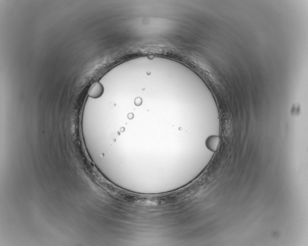 X0000094350687200711021314
