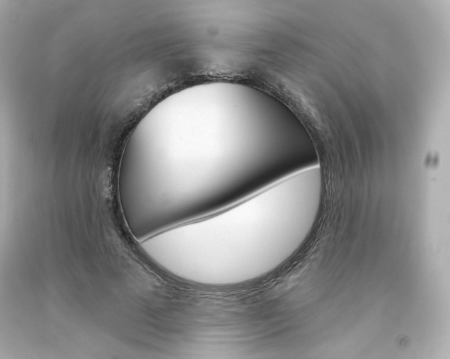 X0000094350689200711021314
