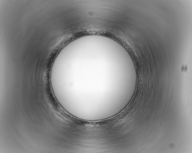 X0000094350690200711021314