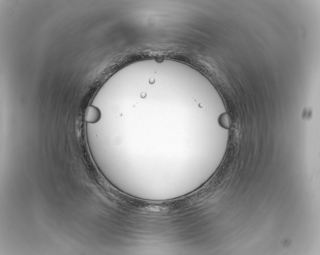 X0000094350691200711021314