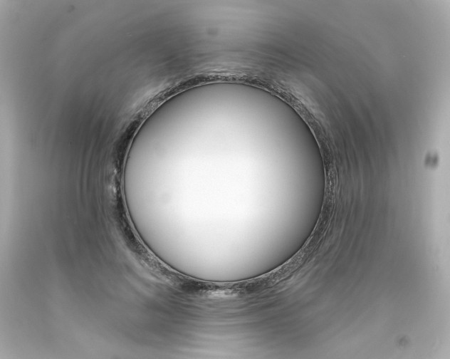 X0000094350692200711021314