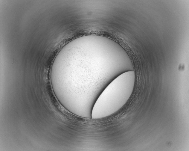 X0000094350695200711021314