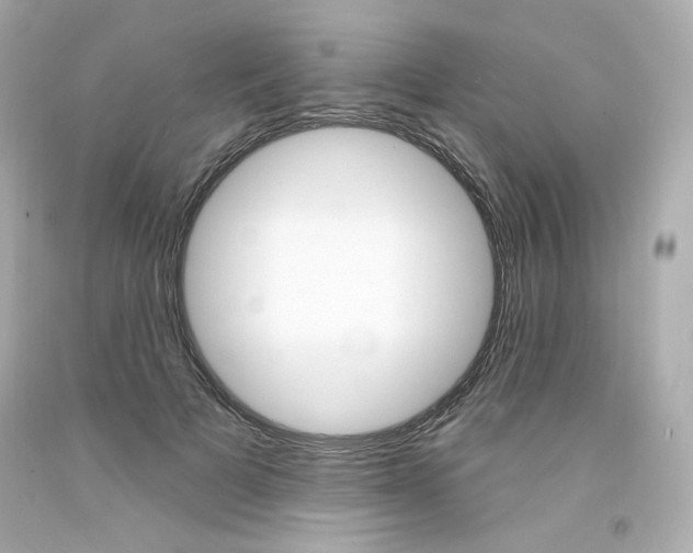 X0000094350697200711021313