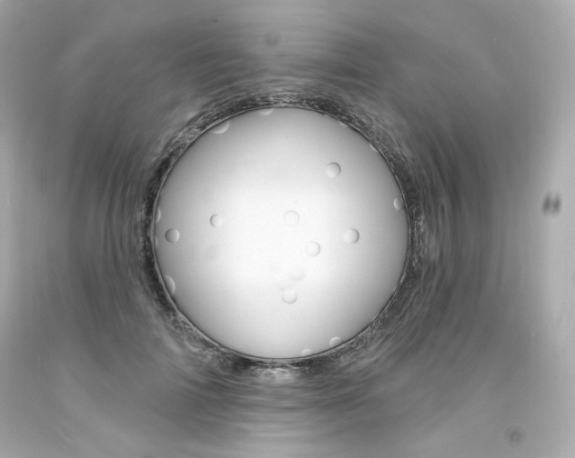 X0000094350698200711021313
