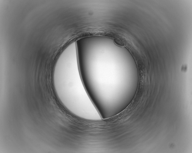 X0000094350700200711021313