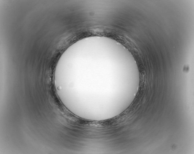 X0000094350702200711021313