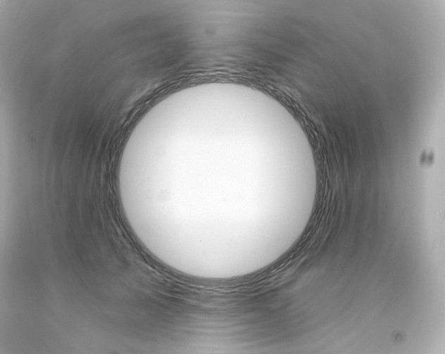 X0000094350705200711021313