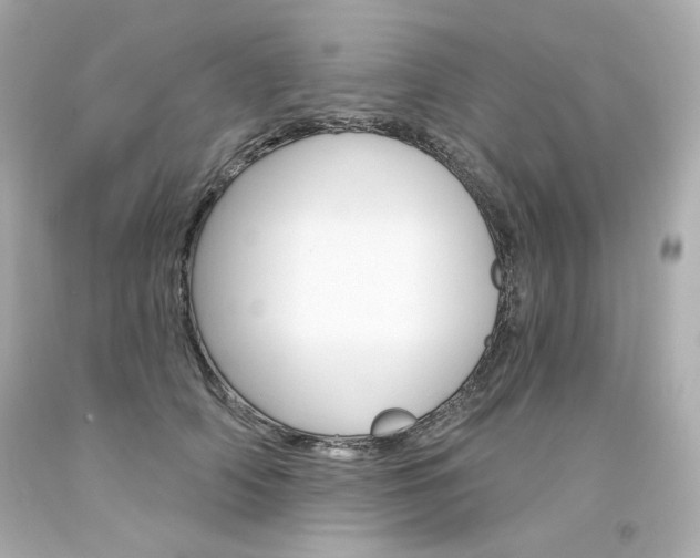 X0000094350706200711021313