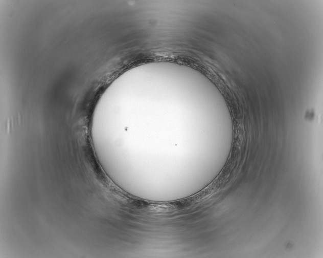 X0000094350707200711021313