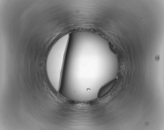 X0000094350708200711021313