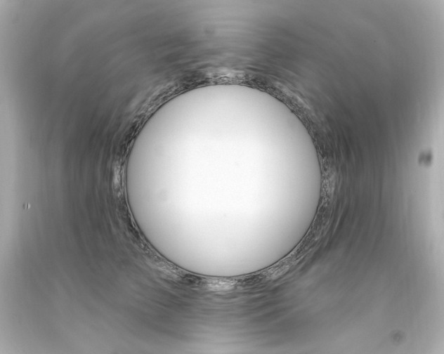 X0000094350709200711021313