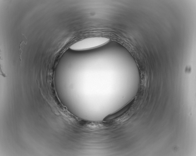 X0000094350712200711021313
