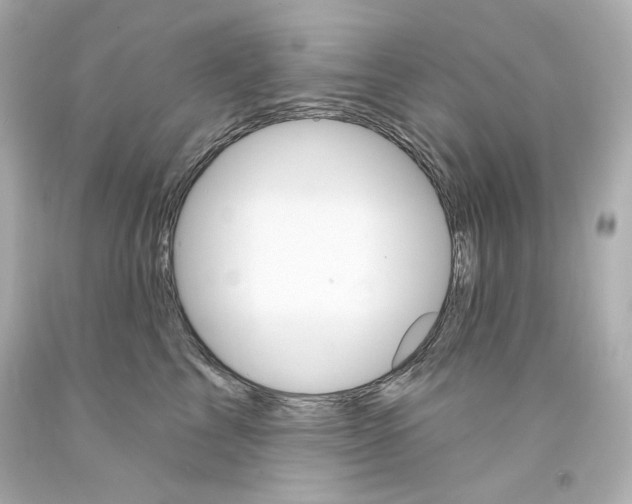 X0000094350713200711021313