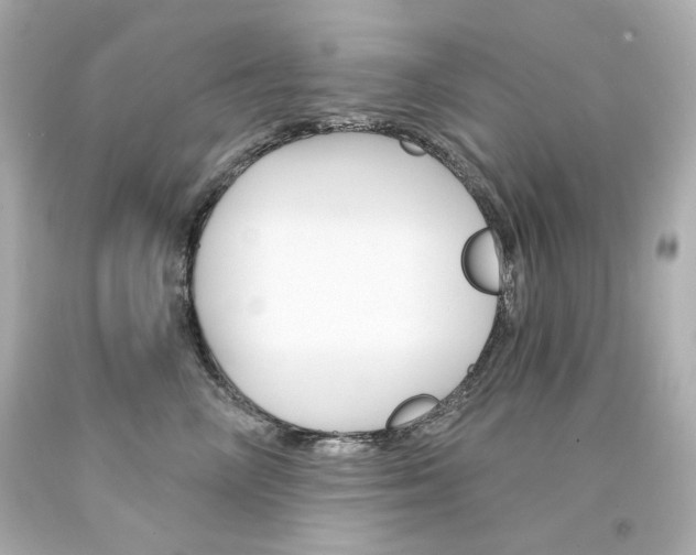 X0000094350714200711021313
