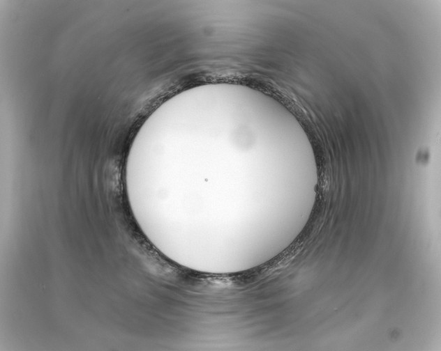 X0000094350715200711021313