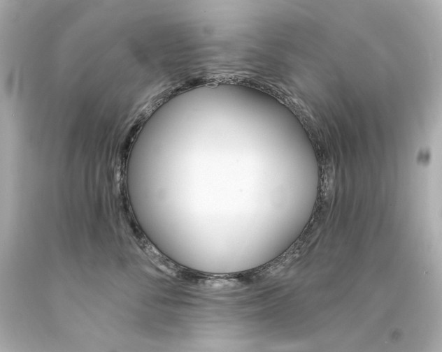 X0000094350716200711021313
