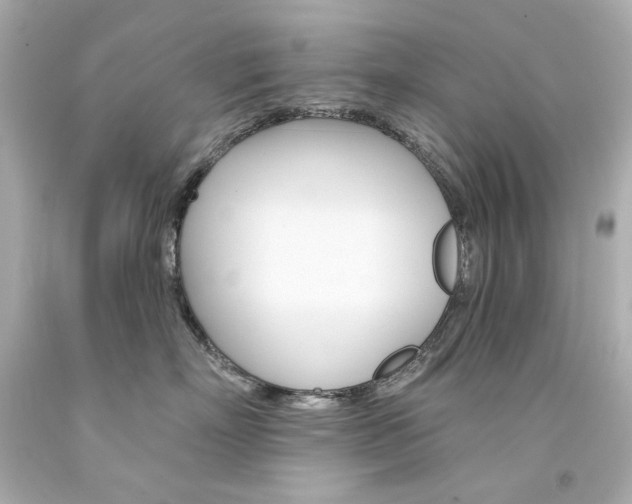 X0000094350718200711021313