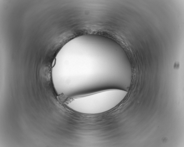 X0000094350719200711021313