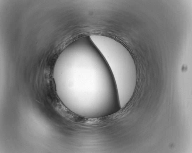 X0000094350720200711021313