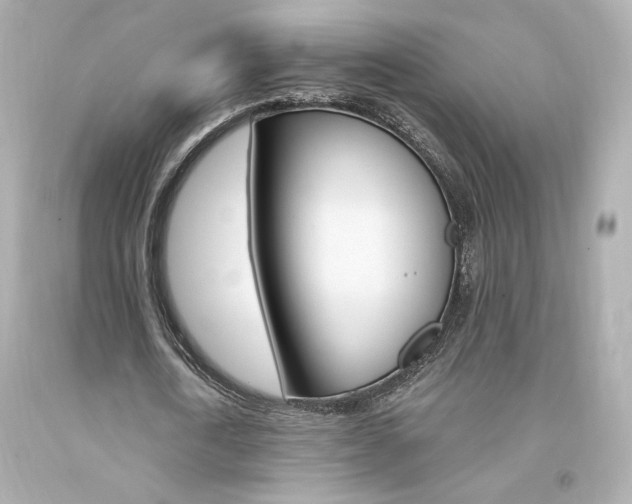 X0000094350722200711021312