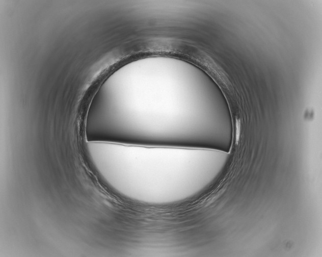 X0000094350723200711021312