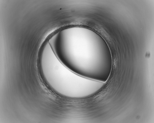 X0000094350724200711021312