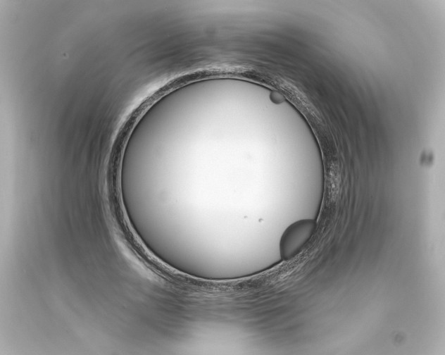 X0000094350726200711021312