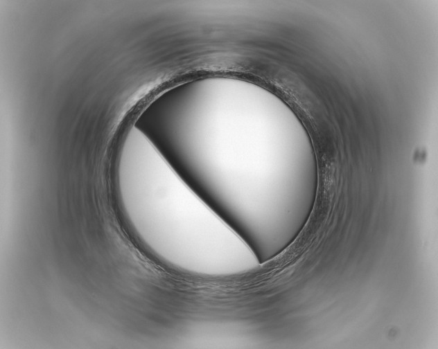 X0000094350727200711021312