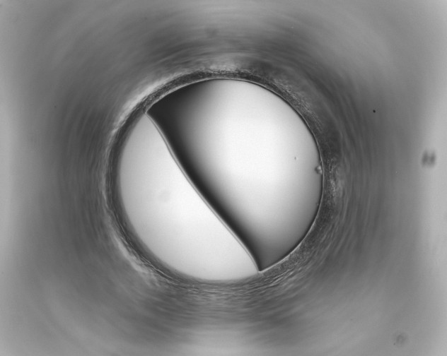 X0000094350728200711021312