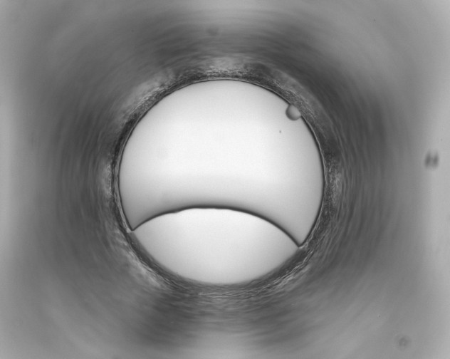 X0000094350729200711021312