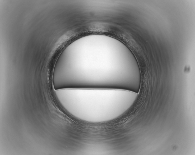 X0000094350731200711021312