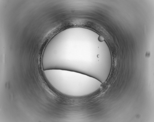 X0000094350733200711021312