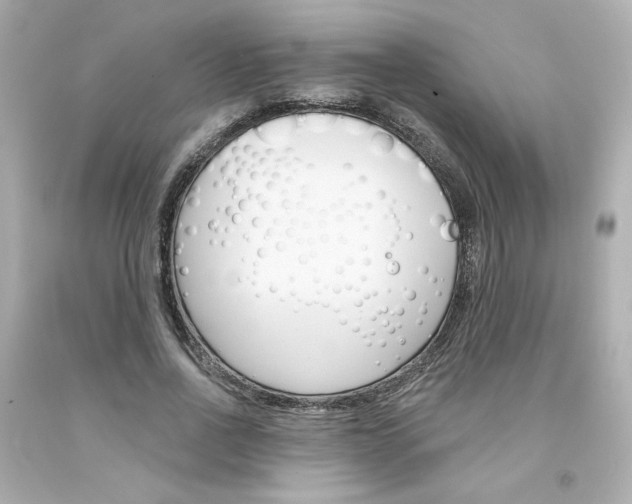 X0000094350734200711021313