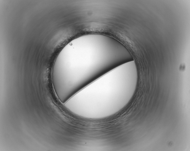 X0000094350735200711021313