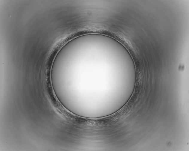 X0000094350736200711021313