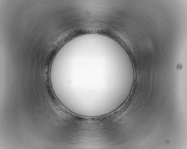 X0000094350737200711021313