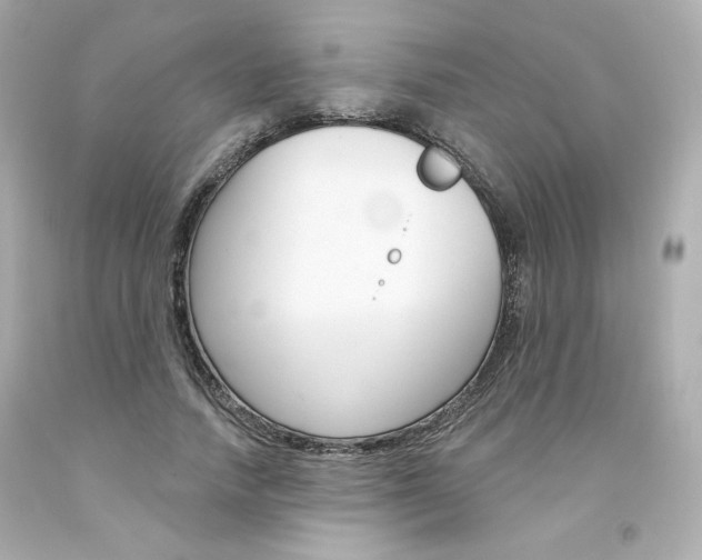 X0000094350738200711021313