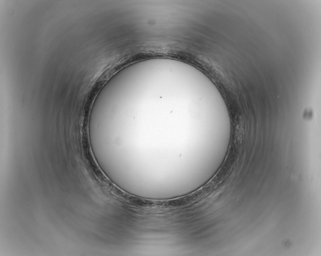 X0000094350739200711021313