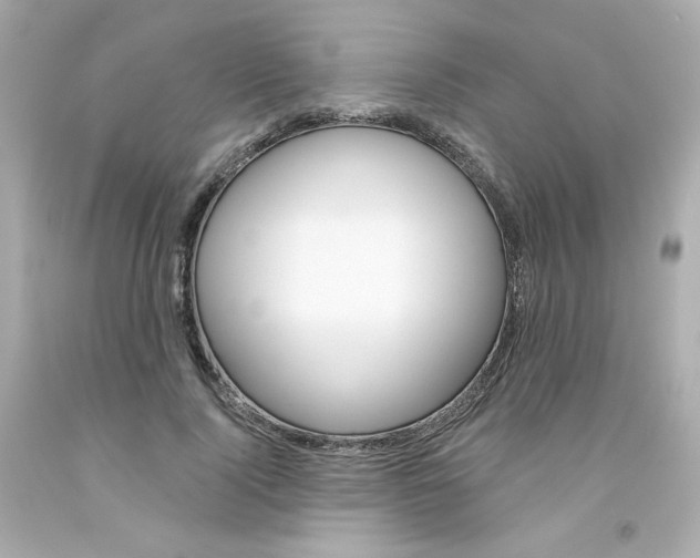 X0000094350740200711021313
