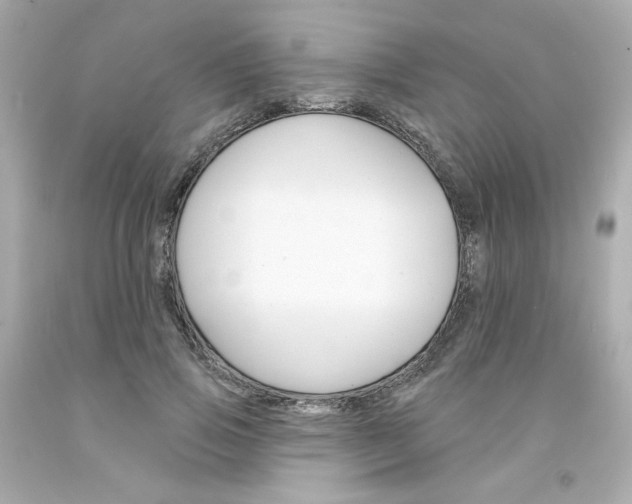 X0000094350741200711021313