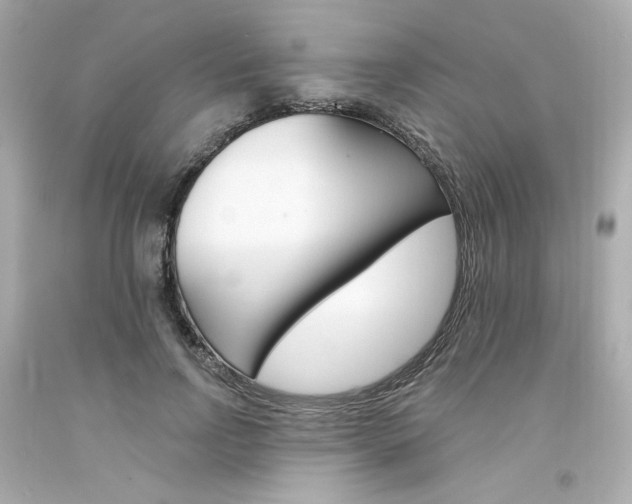 X0000094350742200711021313