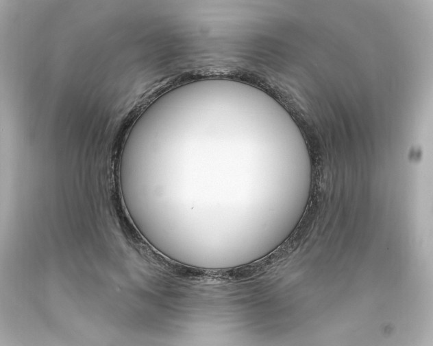X0000094350743200711021313