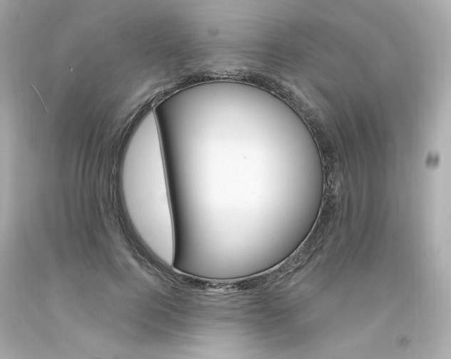 X0000094350744200711021313