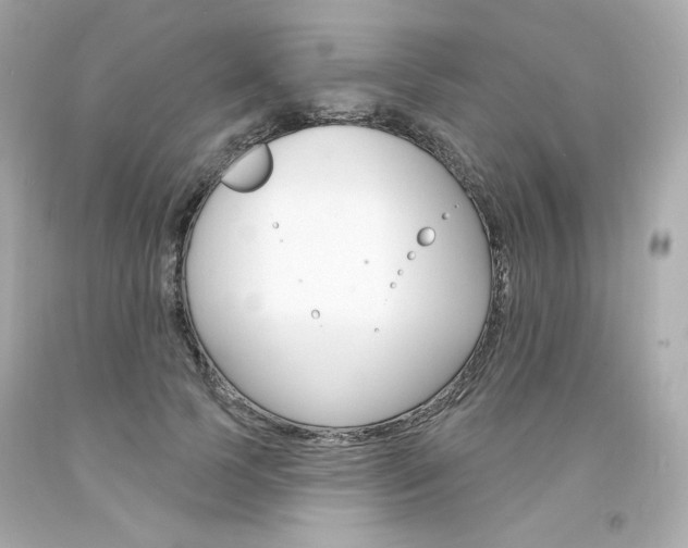 X0000094350745200711021313