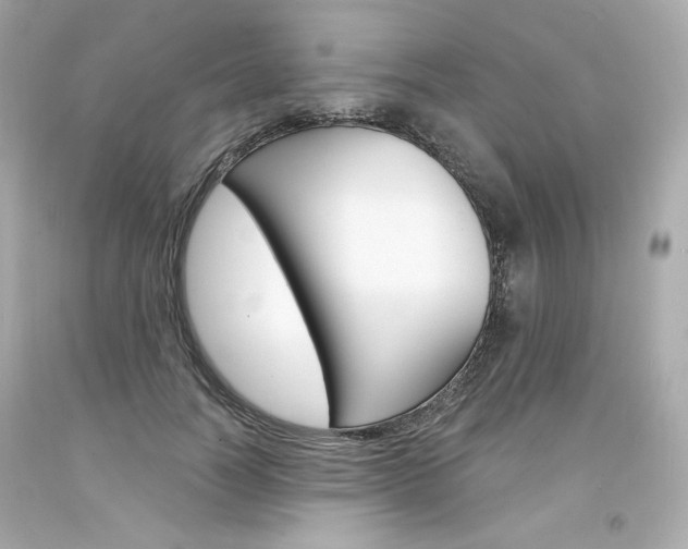 X0000094350746200711021313