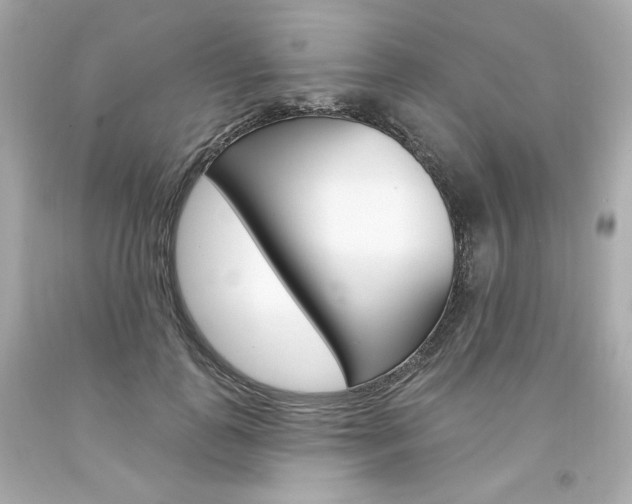 X0000094350747200711021313