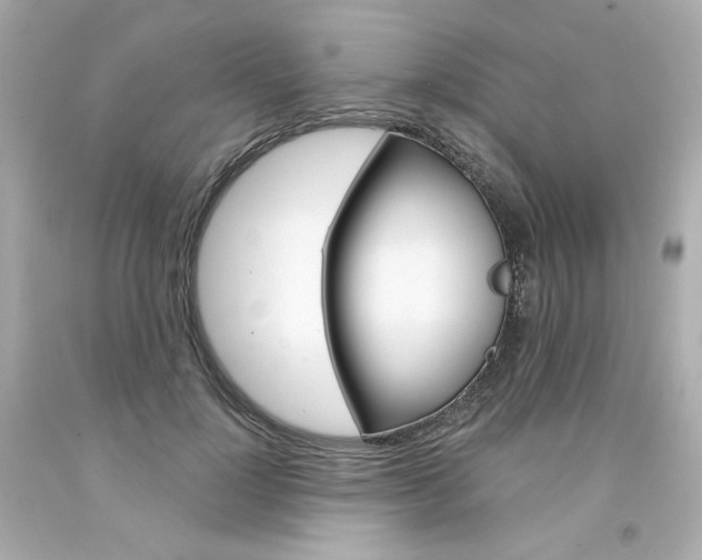 X0000094350748200711021313